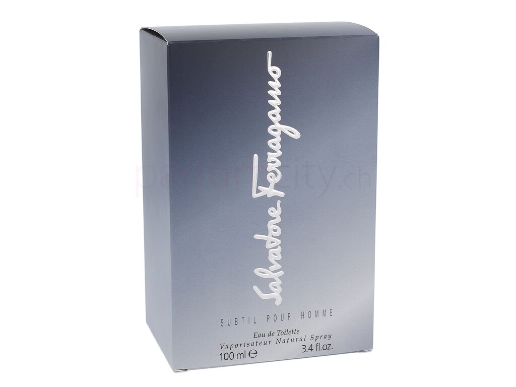 ferragamo subtil pour homme