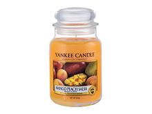 Bougie parfumée Yankee Candle Mango Peach Salsa 49 g