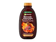 Shampoo Garnier Botanic Therapy Ginger Recovery 400 ml