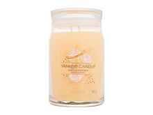 Duftkerze Yankee Candle Signature Vanilla Cupcake 567 g