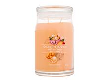 Bougie parfumée Yankee Candle Signature Mango Ice Cream 567 g