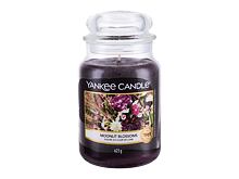 Candela profumata Yankee Candle Moonlit Blossoms 623 g