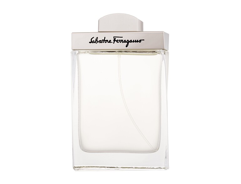 Eau de Toilette Ferragamo Pour Homme 100 ml