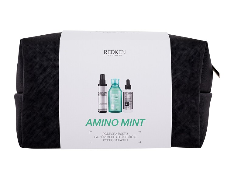 Shampoo Redken Amino-Mint Shampoo 300 ml Sets